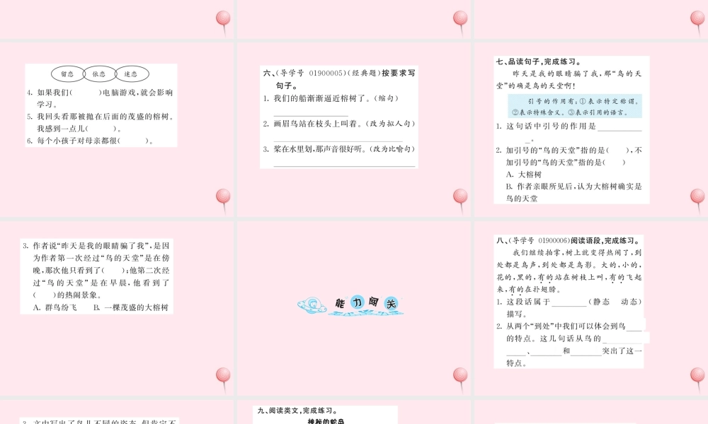 四年级语文上册 第一组 3鸟的天堂习题课件 新人教版-新人教版小学四年级上册语文课件