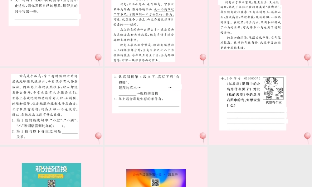 四年级语文上册 第一组 3鸟的天堂习题课件 新人教版-新人教版小学四年级上册语文课件