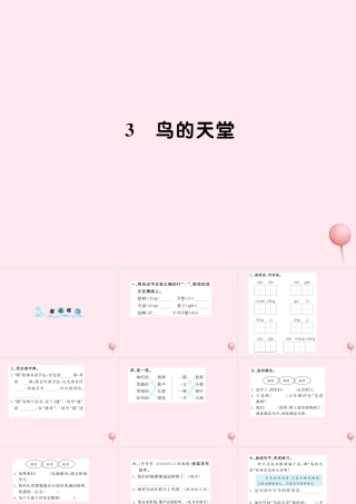 四年级语文上册 第一组 3鸟的天堂习题课件 新人教版-新人教版小学四年级上册语文课件