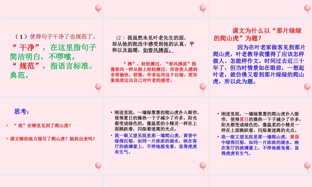 四年级语文上册 第七单元 26《那片绿绿的爬山虎》教学课件 鲁教版-鲁教级上册语文课件