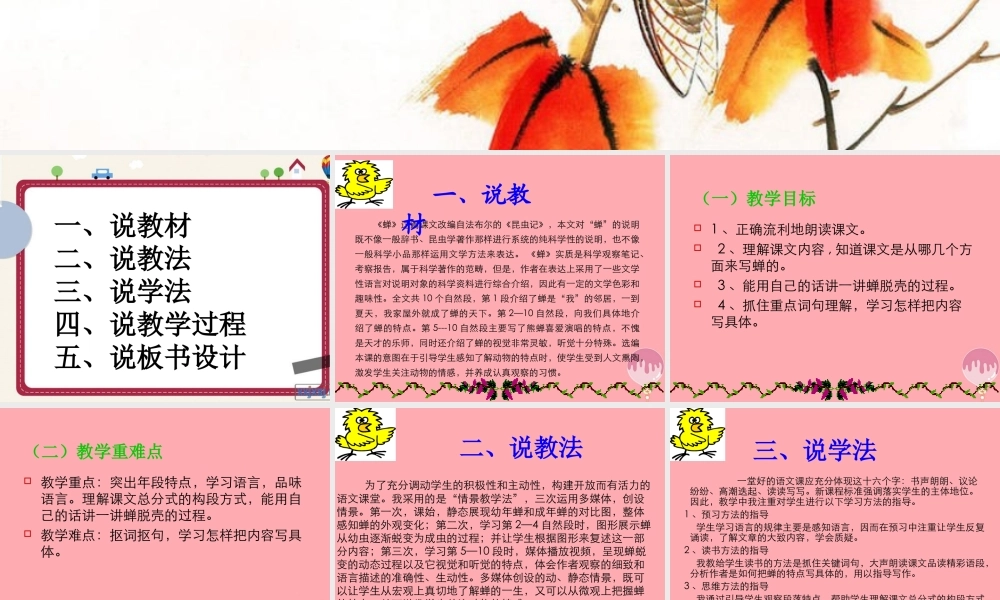 四年级语文上册 第四单元 蝉课件1 鄂教版-鄂教版小学四年级上册语文课件