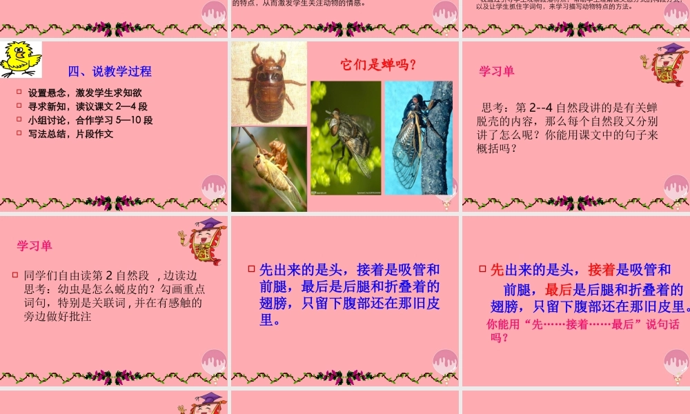 四年级语文上册 第四单元 蝉课件1 鄂教版-鄂教版小学四年级上册语文课件