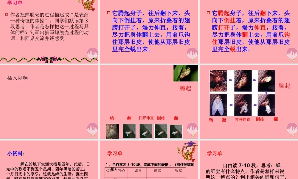 四年级语文上册 第四单元 蝉课件1 鄂教版-鄂教版小学四年级上册语文课件