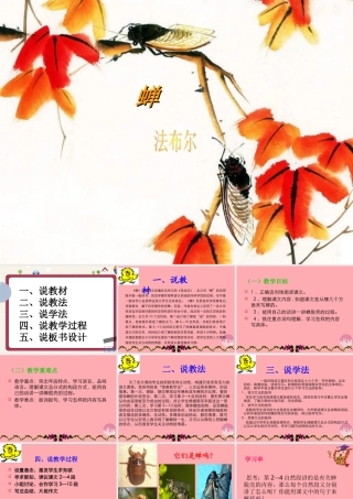 四年级语文上册 第四单元 蝉课件1 鄂教版-鄂教版小学四年级上册语文课件