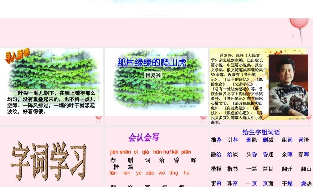 四年级语文上册 第七单元 26《那片绿绿的爬山虎》名优课件 鲁教版-鲁教版小学四年级上册语文课件