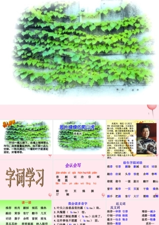 四年级语文上册 第七单元 26《那片绿绿的爬山虎》名优课件 鲁教版-鲁教版小学四年级上册语文课件