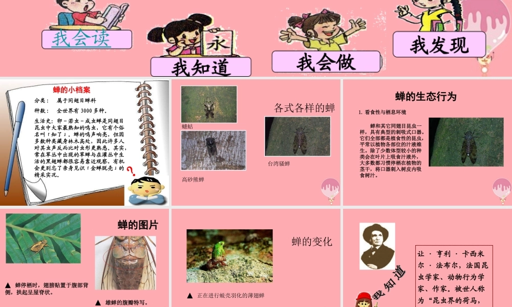 四年级语文上册 第四单元 蝉课件2 鄂教版-鄂教版小学四年级上册语文课件