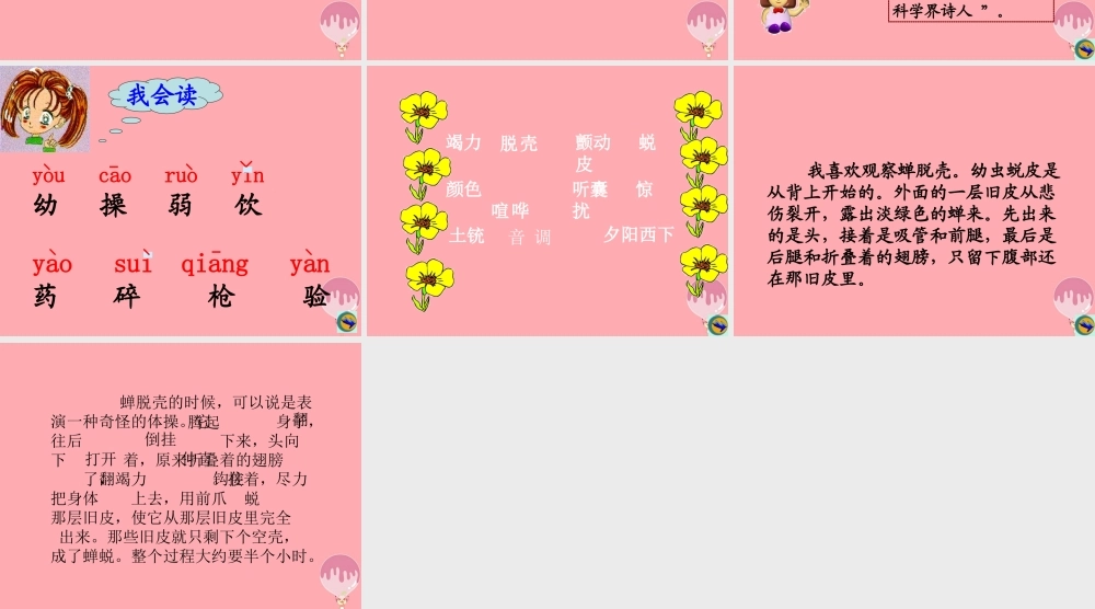 四年级语文上册 第四单元 蝉课件2 鄂教版-鄂教版小学四年级上册语文课件