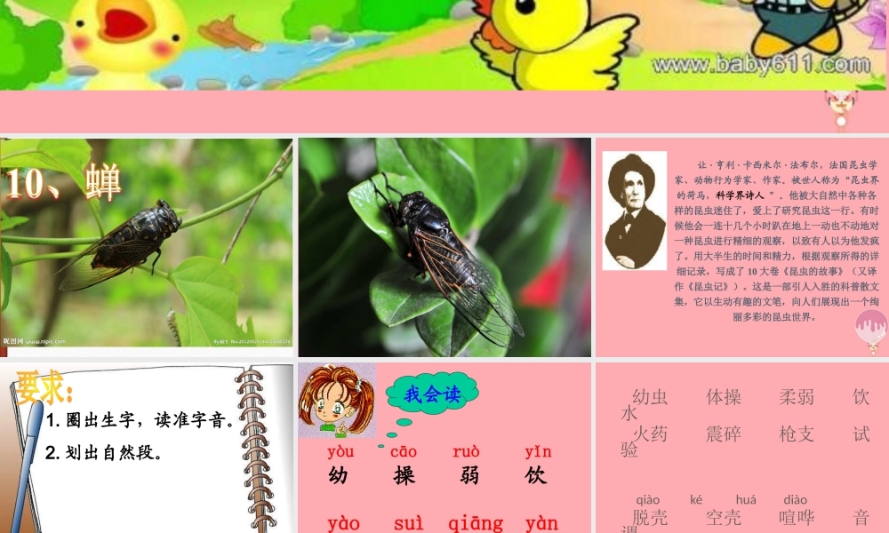 四年级语文上册 第四单元 蝉课件3 鄂教版-鄂教版小学四年级上册语文课件