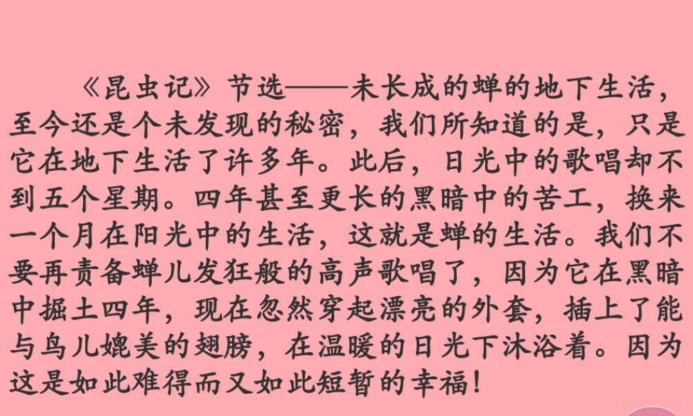 四年级语文上册 第四单元 蝉课件5 鄂教版-鄂教版小学四年级上册语文课件