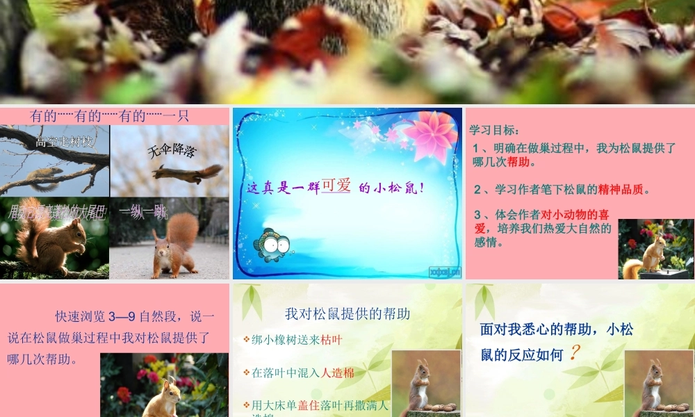 四年级语文上册 第四单元 看松鼠做巢课件3 鄂教版-鄂教版小学四年级上册语文课件