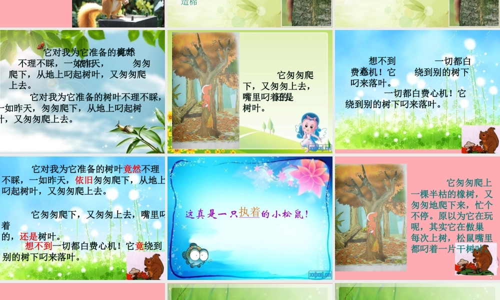 四年级语文上册 第四单元 看松鼠做巢课件3 鄂教版-鄂教版小学四年级上册语文课件