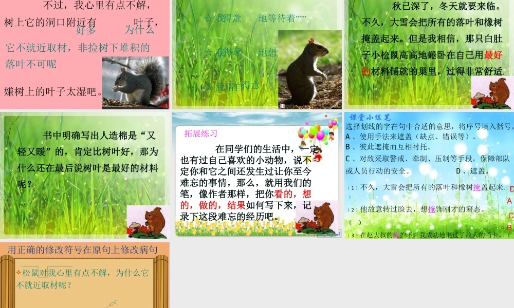 四年级语文上册 第四单元 看松鼠做巢课件3 鄂教版-鄂教版小学四年级上册语文课件