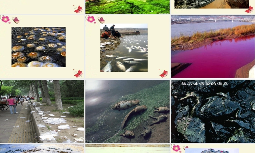 四年级语文下册 第3单元 12《绿色记事本》课件2 语文S版-语文S版小学四年级下册语文课件