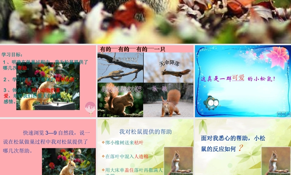 四年级语文上册 第四单元 看松鼠做巢课件4 鄂教版-鄂教版小学四年级上册语文课件