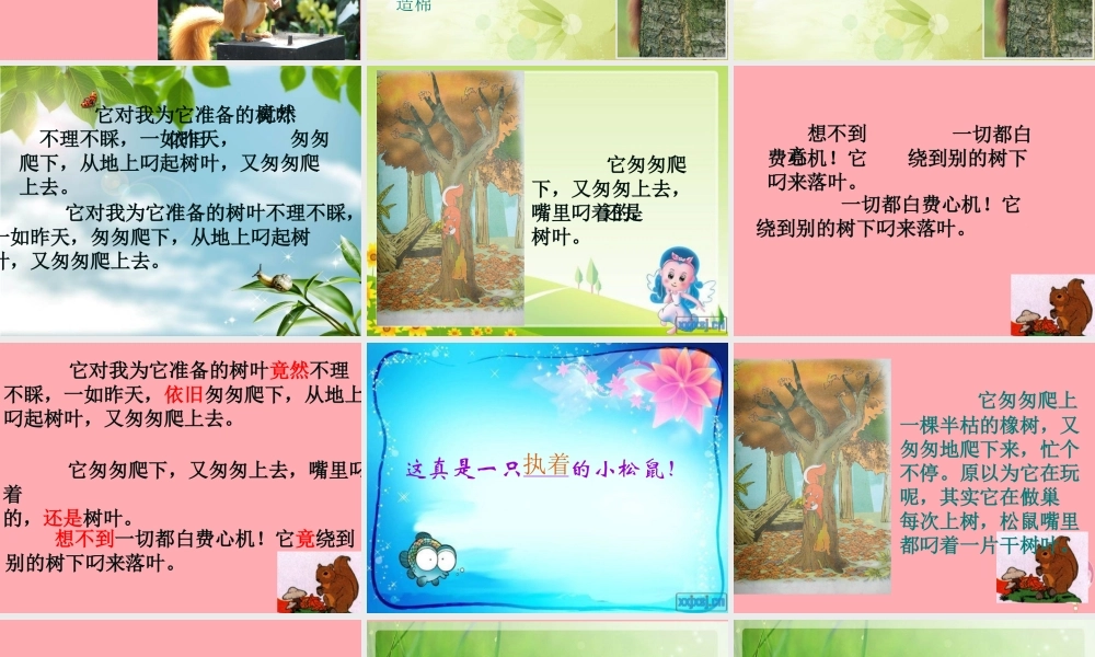 四年级语文上册 第四单元 看松鼠做巢课件4 鄂教版-鄂教版小学四年级上册语文课件