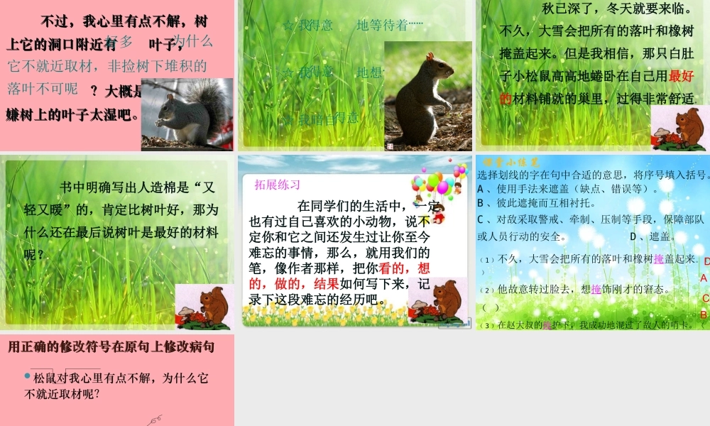 四年级语文上册 第四单元 看松鼠做巢课件4 鄂教版-鄂教版小学四年级上册语文课件