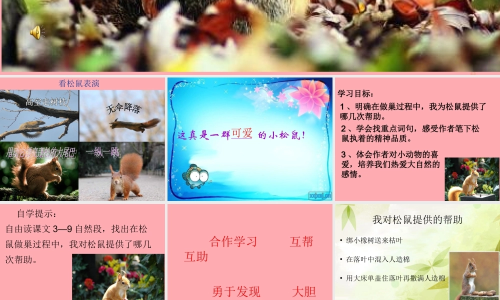 四年级语文上册 第四单元 看松鼠做巢课件5 鄂教版-鄂教版小学四年级上册语文课件