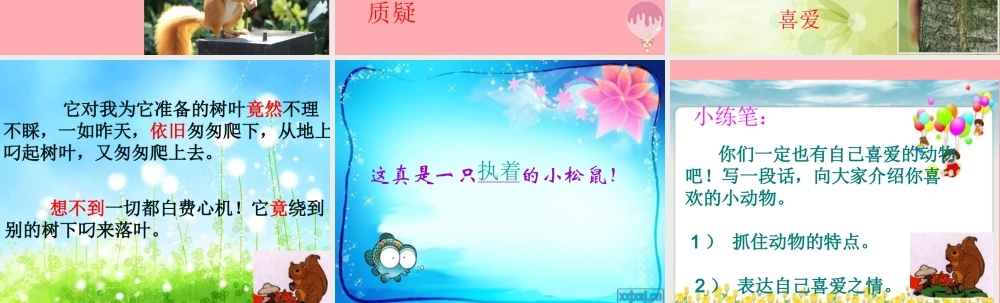 四年级语文上册 第四单元 看松鼠做巢课件5 鄂教版-鄂教版小学四年级上册语文课件