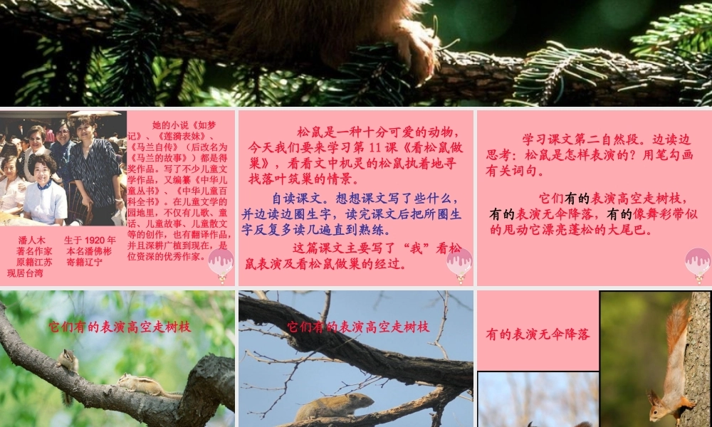 四年级语文上册 第四单元 看松鼠做巢课件6 鄂教版-鄂教版小学四年级上册语文课件