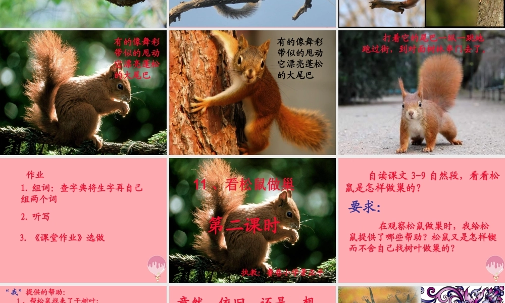 四年级语文上册 第四单元 看松鼠做巢课件6 鄂教版-鄂教版小学四年级上册语文课件