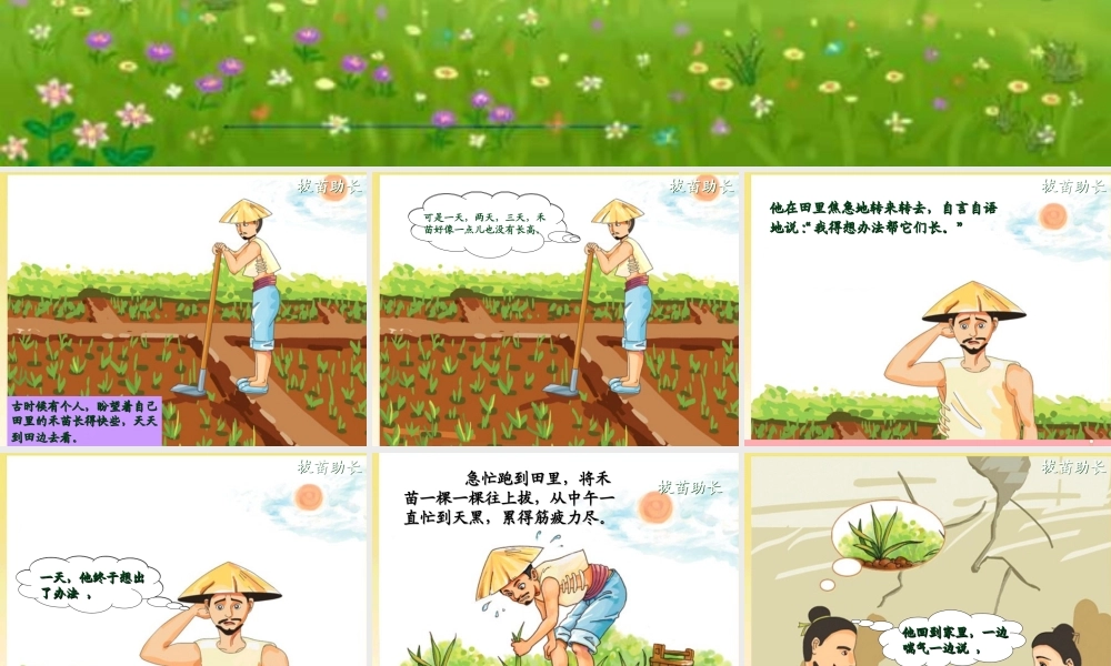 四年级语文上册 第七单元 拔苗助长课件3 湘教版-湘教版小学四年级上册语文课件
