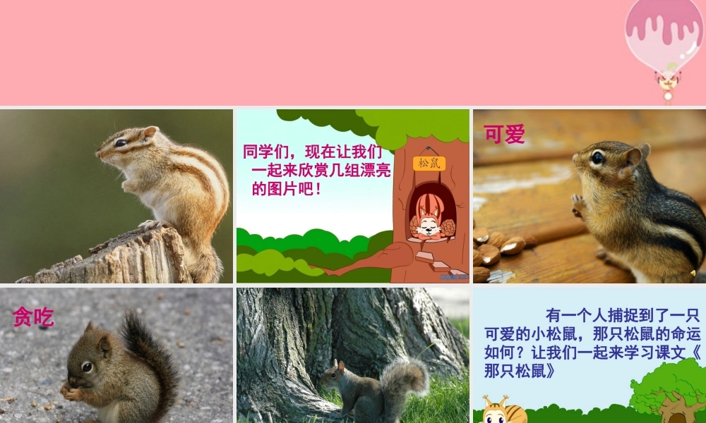 四年级语文上册 第四单元 那只松鼠课件1 湘教版-湘教版小学四年级上册语文课件