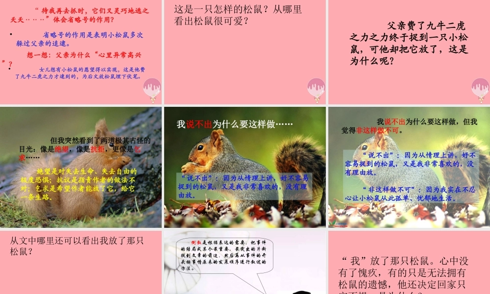 四年级语文上册 第四单元 那只松鼠课件1 湘教版-湘教版小学四年级上册语文课件