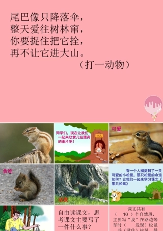 四年级语文上册 第四单元 那只松鼠课件1 湘教版-湘教版小学四年级上册语文课件