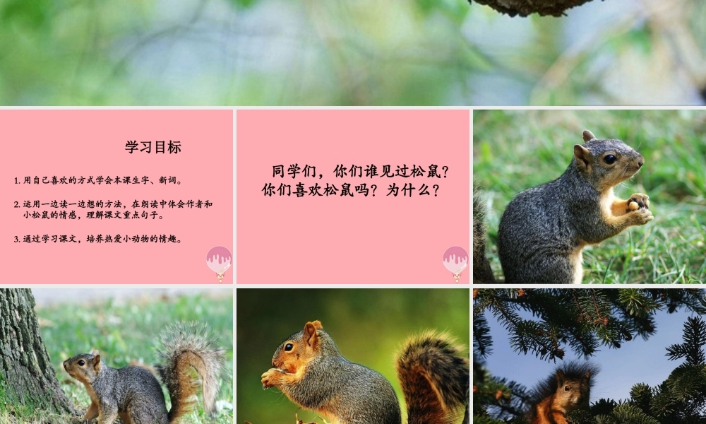 四年级语文上册 第四单元 那只松鼠课件2 湘教版-湘教版小学四年级上册语文课件