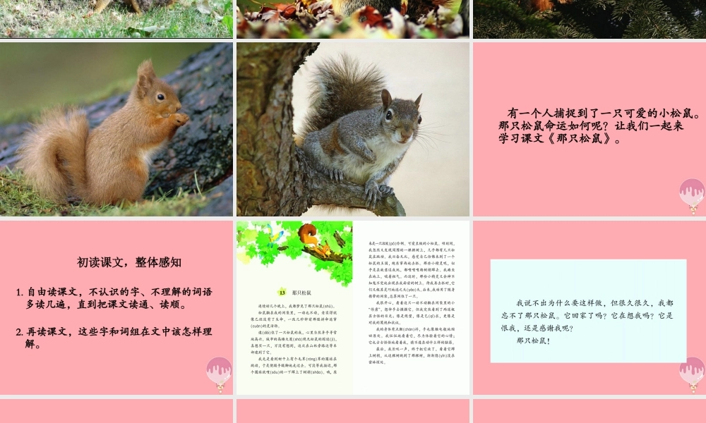 四年级语文上册 第四单元 那只松鼠课件2 湘教版-湘教版小学四年级上册语文课件