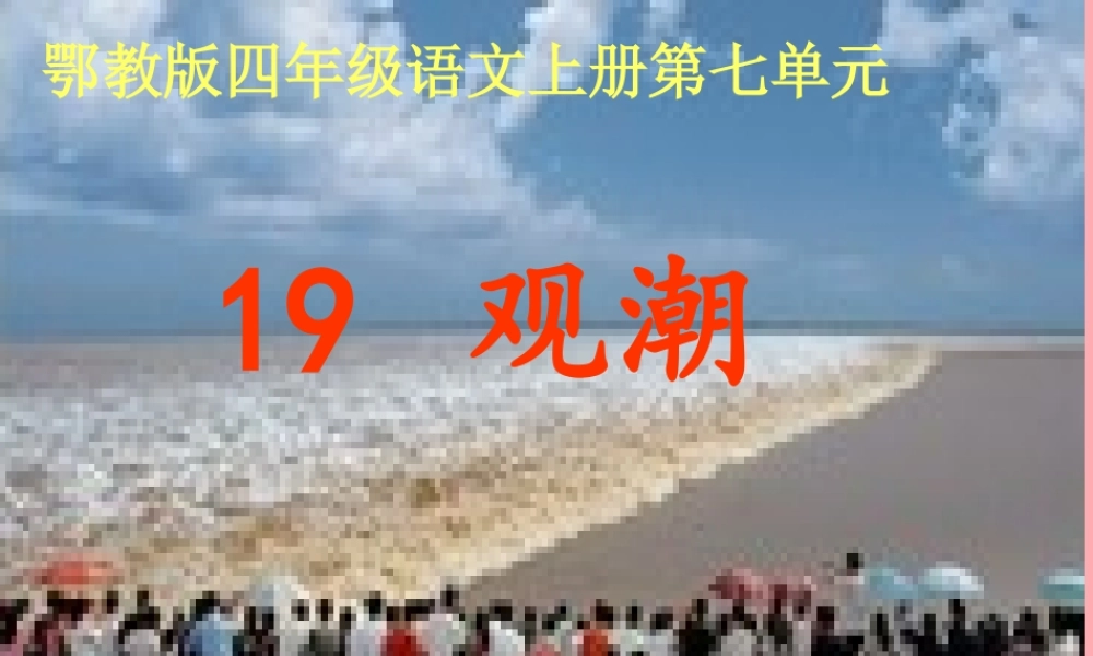 四年级语文上册 第七单元 观潮课件1 鄂教版-鄂教版小学四年级上册语文课件