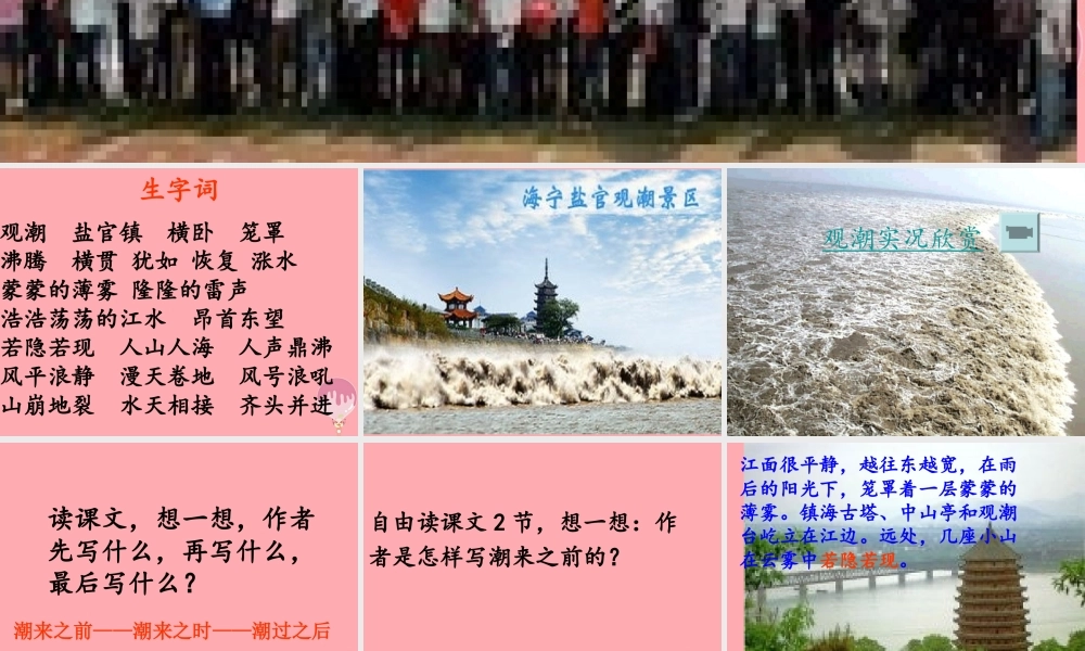 四年级语文上册 第七单元 观潮课件1 鄂教版-鄂教版小学四年级上册语文课件