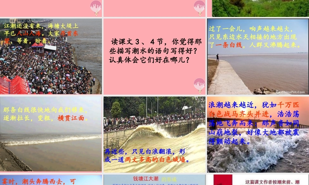 四年级语文上册 第七单元 观潮课件1 鄂教版-鄂教版小学四年级上册语文课件