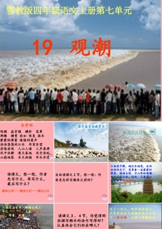 四年级语文上册 第七单元 观潮课件1 鄂教版-鄂教版小学四年级上册语文课件