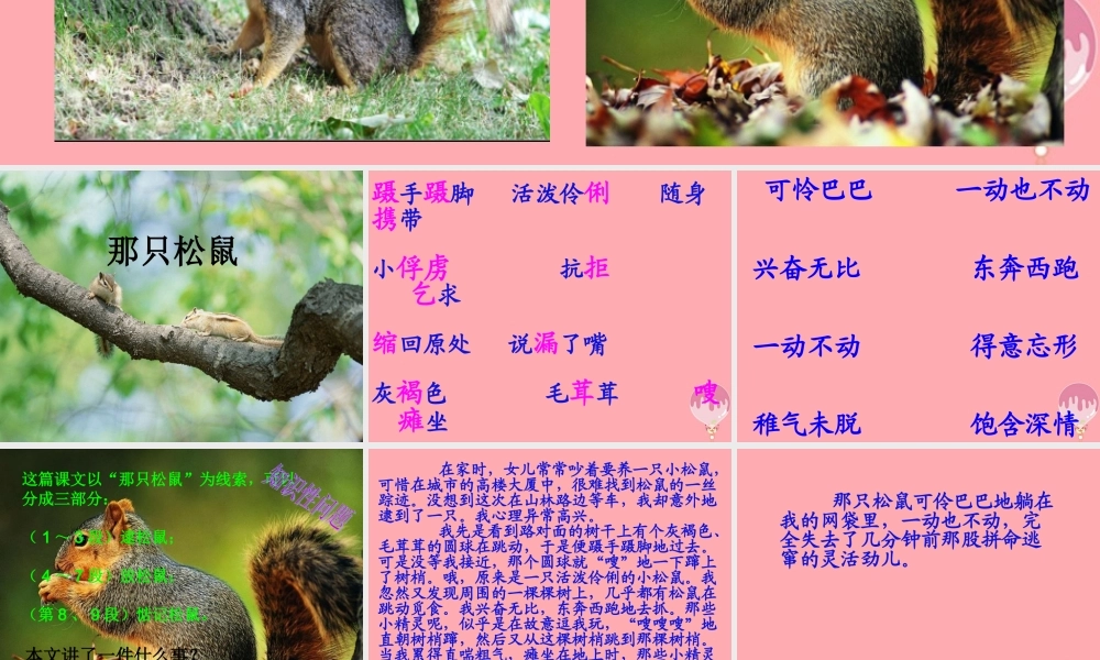 四年级语文上册 第四单元 那只松鼠课件3 湘教版-湘教版小学四年级上册语文课件