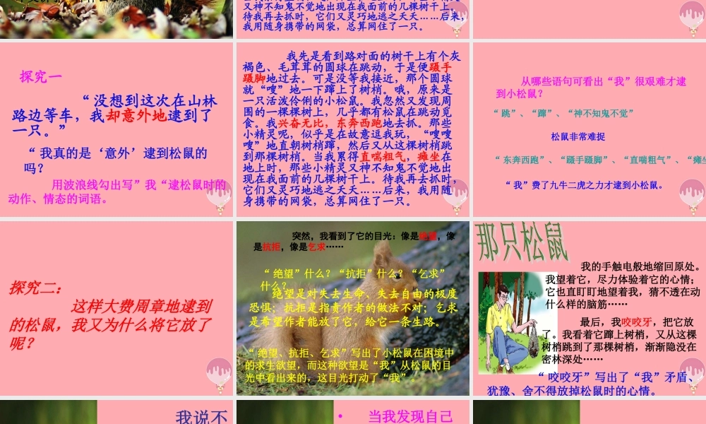 四年级语文上册 第四单元 那只松鼠课件3 湘教版-湘教版小学四年级上册语文课件