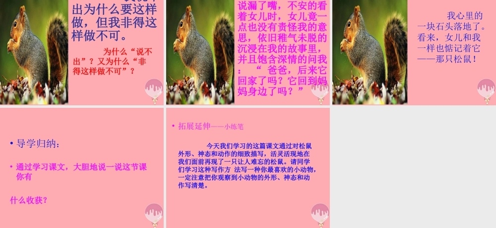 四年级语文上册 第四单元 那只松鼠课件3 湘教版-湘教版小学四年级上册语文课件