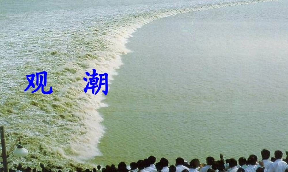 四年级语文上册 第七单元 观潮课件3 鄂教版-鄂教版小学四年级上册语文课件