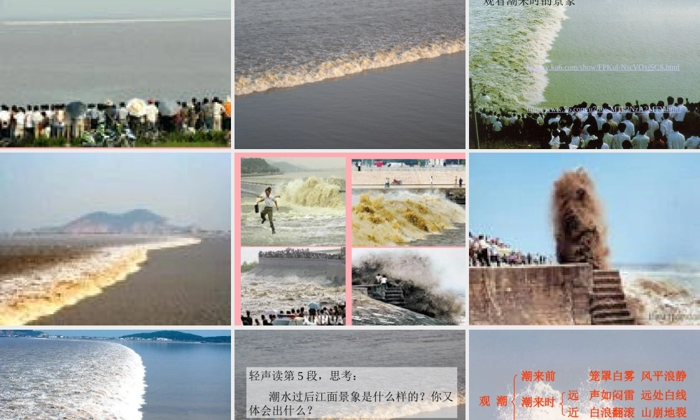 四年级语文上册 第七单元 观潮课件3 鄂教版-鄂教版小学四年级上册语文课件