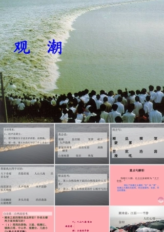 四年级语文上册 第七单元 观潮课件3 鄂教版-鄂教版小学四年级上册语文课件
