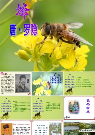 四年级语文下册 第3单元 古诗诵读《蜂》《观书有感》课件 沪教版-沪教版小学四年级下册语文课件