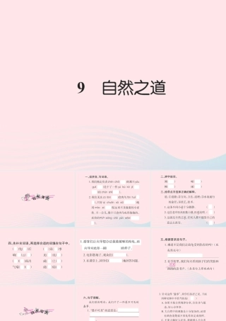 四年级语文下册 第3组 9 自然之道习题课件 新人教版-新人教版小学四年级下册语文课件