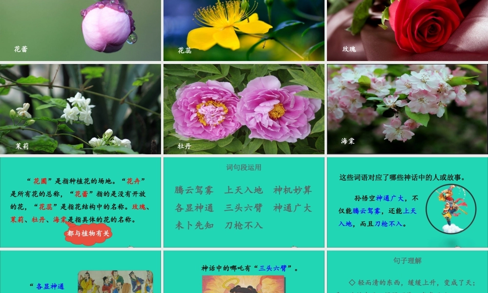 四年级语文上册 第四单元《语文园地四》课件