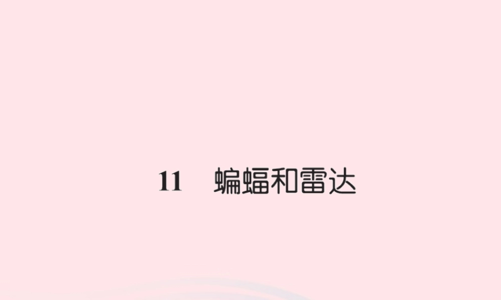四年级语文下册 第3组 11 蝙蝠和雷达习题课件 新人教版-新人教版小学四年级下册语文课件