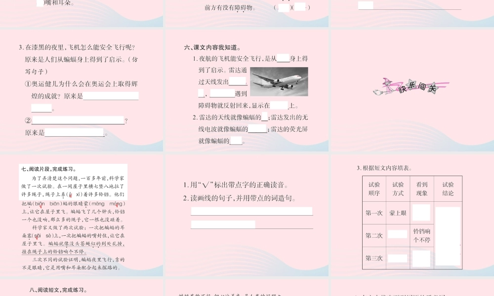 四年级语文下册 第3组 11 蝙蝠和雷达习题课件 新人教版-新人教版小学四年级下册语文课件