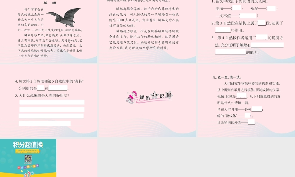 四年级语文下册 第3组 11 蝙蝠和雷达习题课件 新人教版-新人教版小学四年级下册语文课件