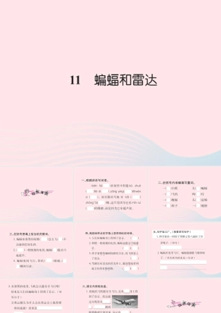 四年级语文下册 第3组 11 蝙蝠和雷达习题课件 新人教版-新人教版小学四年级下册语文课件