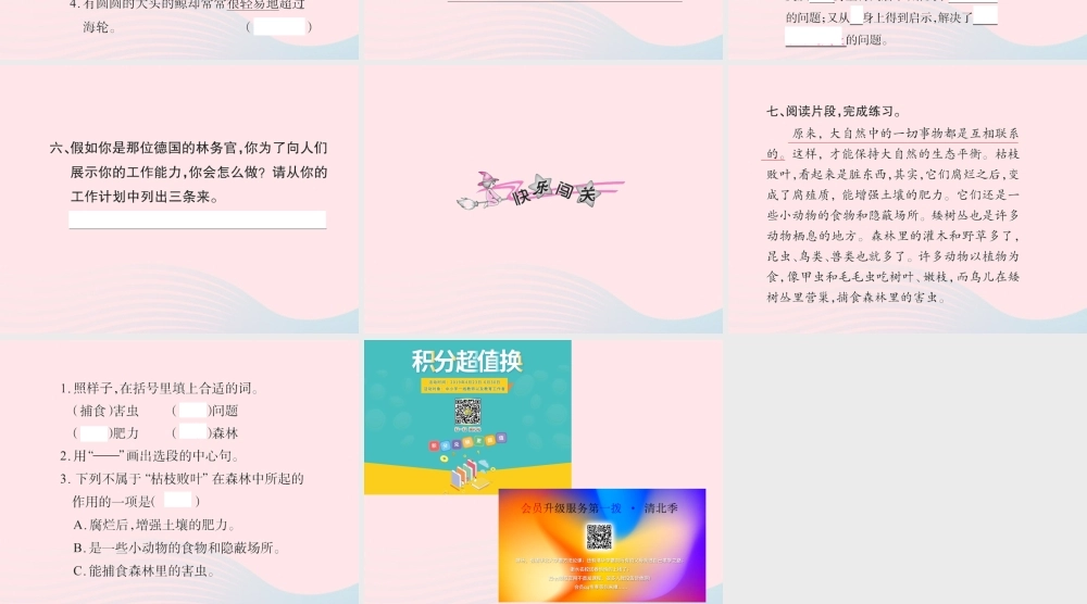 四年级语文下册 第3组 12 大自然的启示习题课件 新人教版-新人教版小学四年级下册语文课件