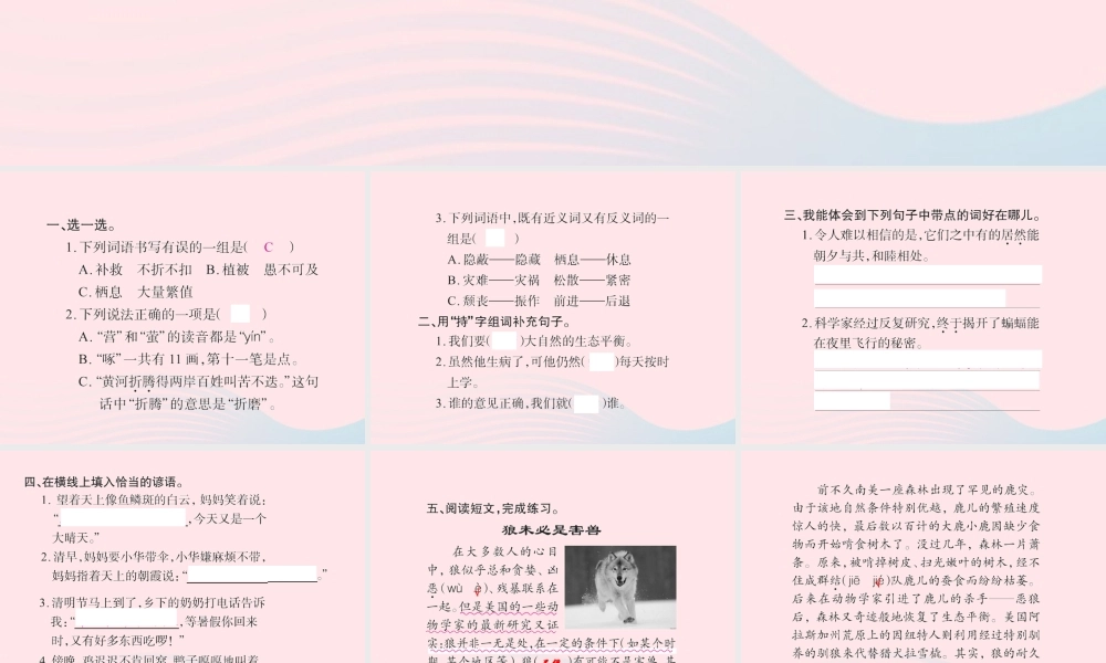 四年级语文下册 第3组 语文园地三习题课件 新人教版-新人教版小学四年级下册语文课件
